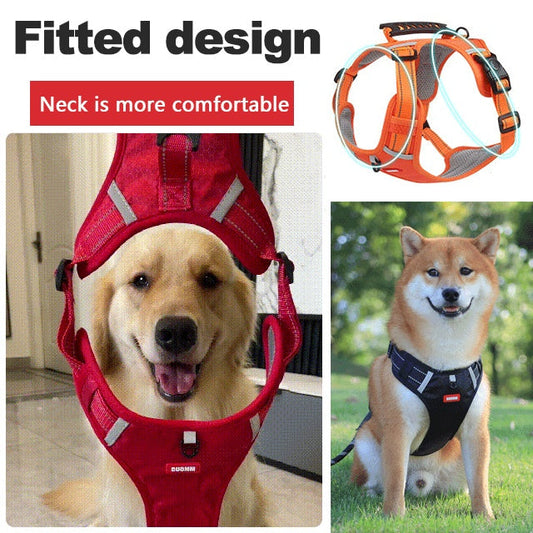 🐕Hondenriem met hondenvest!