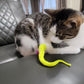 Trilballen voor Katten