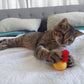 Trilballen voor Katten