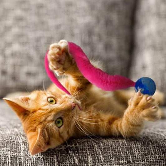 Trilballen voor Katten
