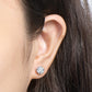 Prachtige klassieke moissanite oorknopjes met zes pootjes