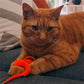 Trilballen voor Katten