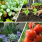 Langzaam vrijkomende meststof in tabletvorm voor planten