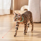 Oplaadbare Draagbare Elektronische Halsband voor Kat
