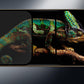 HD en anti-spion gehard glazen schermbeschermer voor iPhone