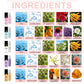 Langhoudende Verfrissende Natuurlijke Roll-on Parfum