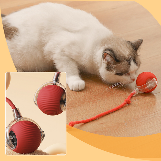 Intelligente tjilpende rollende interactieve kattenspeelbal