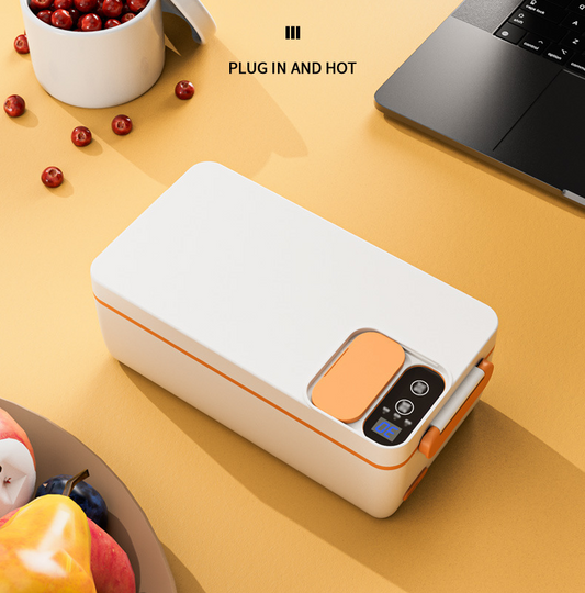 🍲Grote elektrische lunchbox