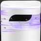 UV-insectenlamp met transparante opvangbak