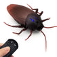 Insectenspeelgoed met Afstandsbediening