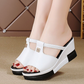 Dames Instap Sleehak Sandalen met Uitsnijdingen en Plateauzool