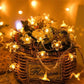 Festival waterdichte LED slinger verlichting voor decoratie van gazon en binnenplaats