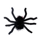 ✨Grappige Halloween Spin Haarclip🎉