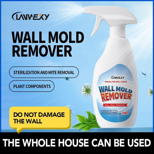 Zeer Effectieve Schimmelverwijderingsspray – Voorkomt Terugkeer van Schimmel