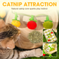 Interactief fruitvormig kattenkruid speeltje met touwtje
