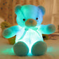 ⏳Tijdelijke korting van 50%⏰Teddybeer, kleurrijke LED-verlichting, knuffels🌈🧸