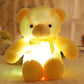 ⏳Tijdelijke korting van 50%⏰Teddybeer, kleurrijke LED-verlichting, knuffels🌈🧸