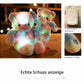 ⏳Tijdelijke korting van 50%⏰Teddybeer, kleurrijke LED-verlichting, knuffels🌈🧸