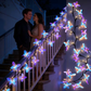 🌞Fris De Lente In Met 55% Korting!🦋Magische Vlinder Lichtrank (1,6m) | Buigbaar LED Lichtsnoer met 36 Lampjes & 8 Modi | Esthetische Sfeerverlichting