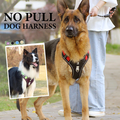 🐶 50% OFF NOW! 🛡️ No Pull Dog Harness with Leash & LED Collar – Secure & Comfortable ✨