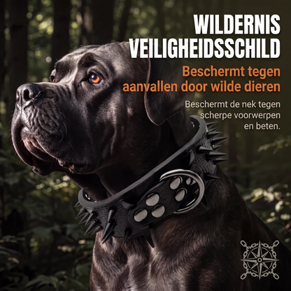 Hondenhalsband van PU-leer met punten