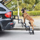 🐕 -50% ! 🚗 Opvouwbare Antislip Hondentrap voor in de Auto – Antislip Stof – 2 of 4 Treden – Zwart/Grijs/Blauw – Stevig Ondersteuning voor Alle Maten 🐾