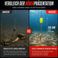 🐟️Set van 6 pompano-hengelmontages met dobbers voor bot, baars, meerval, haai en blauwbaars