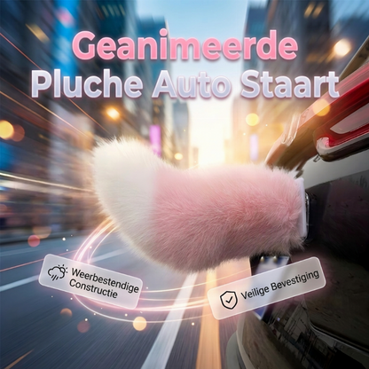 Elektrische auto met afstandsbediening achter